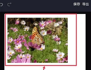 �����(��Ʒ���ƽ̨)