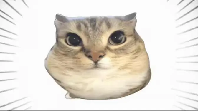�ͰͲ�һ(δ֪����ƽ̨)v1.0 �ֻ����ͼ1