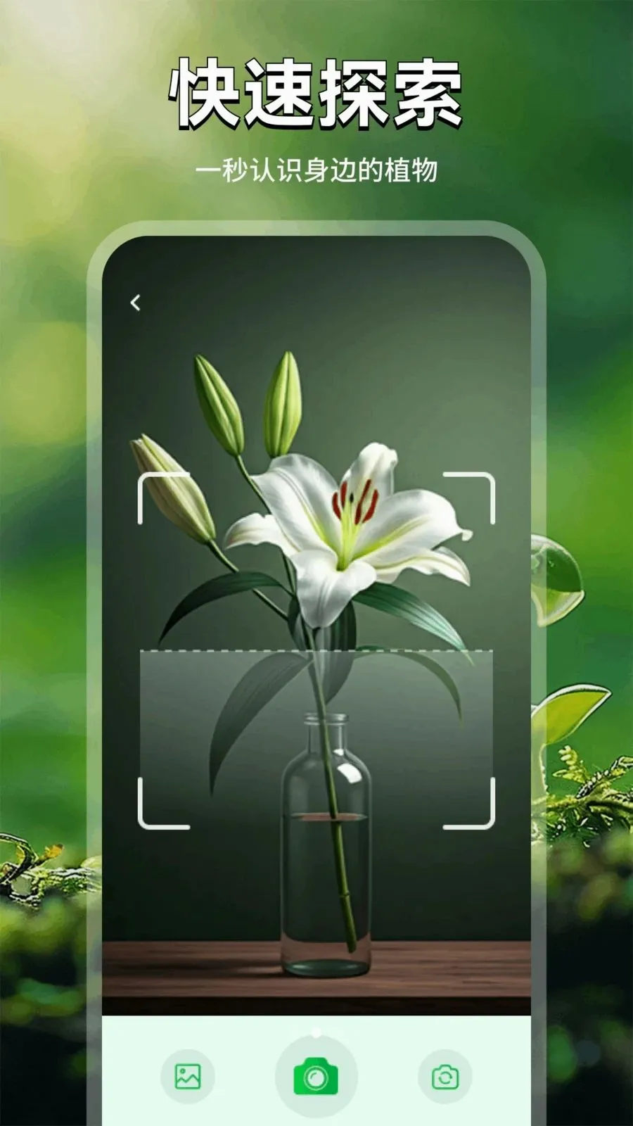 ���Ļ�(������������)v1.1 ��Ѱ��ͼ1
