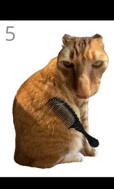 ��è��ë(èë����С��Ϸ)v1.0 ��׿���ͼ0
