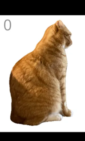 ��è��ë(èë����С��Ϸ)