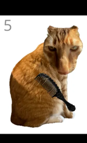 ��è��ë(èë����С��Ϸ)