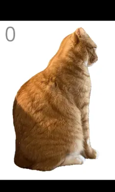 ��è��ë(èë����С��Ϸ)v1.0 ��׿���ͼ1