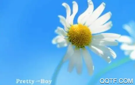 ˮӡ��(��Ƶˮӡ����)