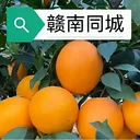 ����ͬ��(ͬ���������)v15.2.0 ��Ѱ�