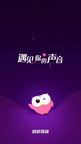 咚咚语音app(语音交友软件) 咚咚语音app(语音交友软件)