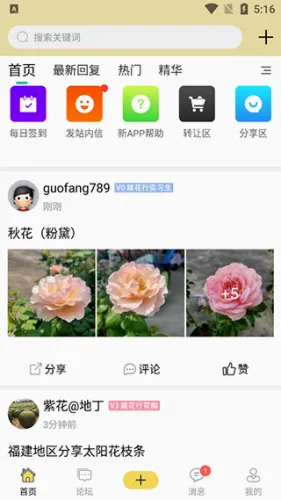 ̤����2026���°汾