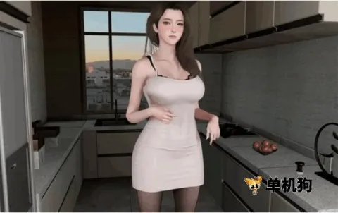 �ҵ��Ҹ�����(����ģ����Ϸ)v0.9.8 �ٷ������ͼ3