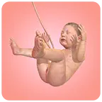 �ҵĺ��ӾŸ���2026�ٷ����°汾v1.41.7 �ٷ�����