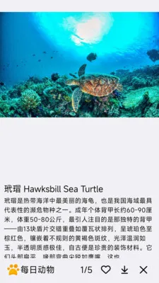 ÿ�ն���2026���°汾v1.0.0 �ٷ������ͼ3
