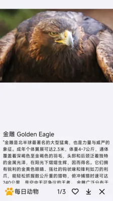 ÿ�ն���2026���°汾v1.0.0 �ٷ������ͼ2