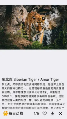 ÿ�ն���2026���°汾v1.0.0 �ٷ������ͼ0