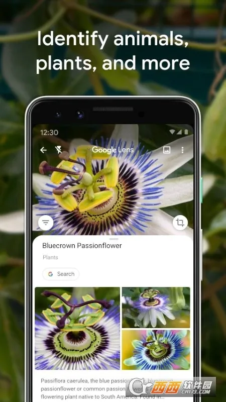 Google 智能镜头(智能镜头功能)v1.18.250731009 官方正版截图2