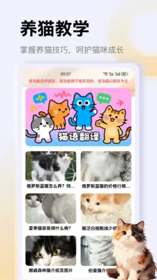 ����è��app2026�ٷ����°汾v1.3 �ٷ������ͼ3