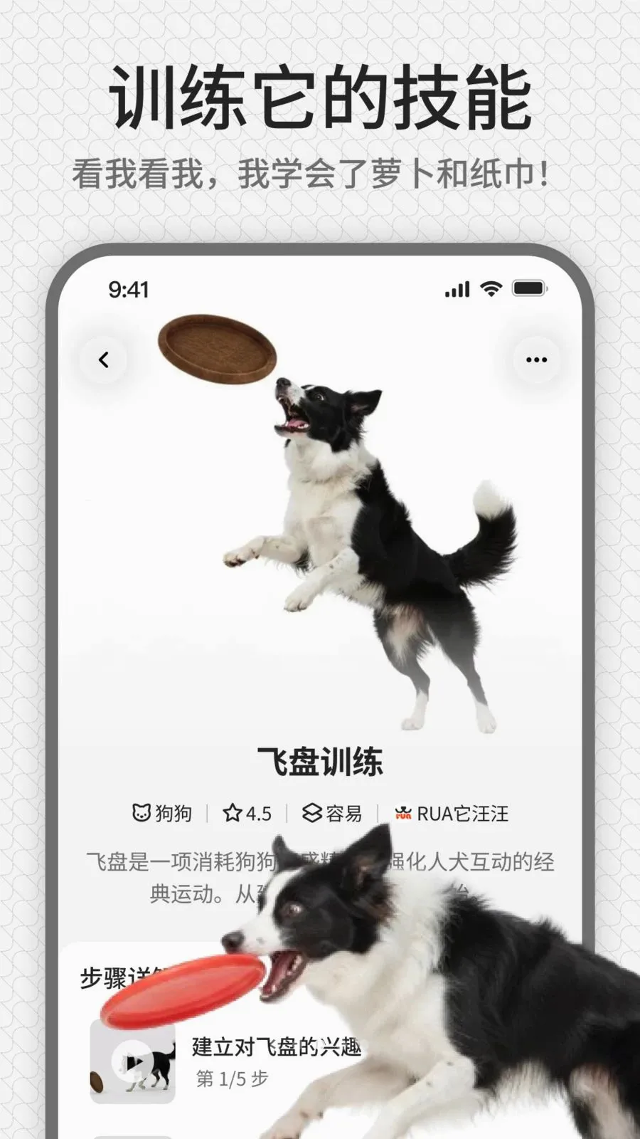 rua��(����ѵ��ƽ̨)v1.0.1 ��׿���ͼ2