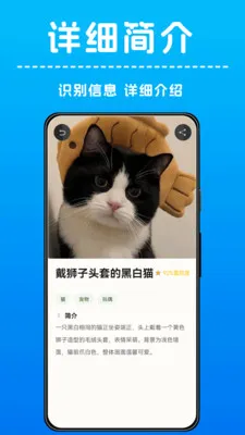 AI����ʶ�������ֻ���v1.0.4 �ٷ������ͼ1