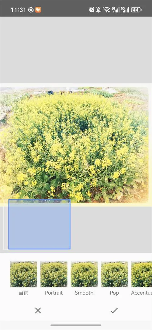 BetterSeed2026�ٷ�����v2.22.0.633363672 �ٷ������ͼ0