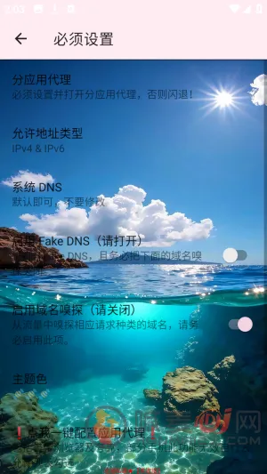 Ѳ��˽��2026���°汾