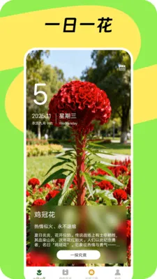 娴花小筑2026官方最新版本v1.0.6 安卓版截图2