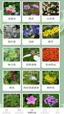 缤纷花草2026最新版本v2.7.2.3 手机版截图2