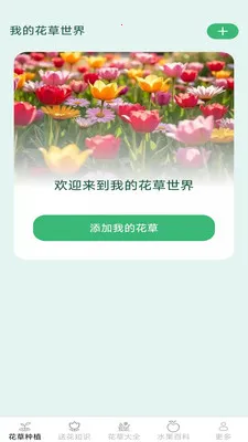 缤纷花草2026最新版本v2.7.2.3 手机版截图3