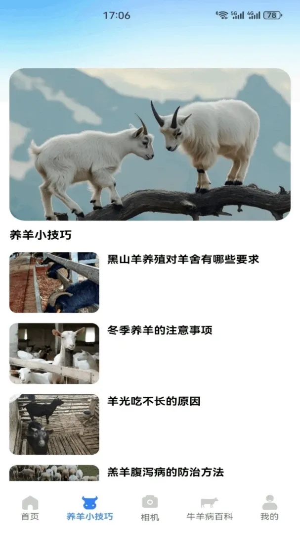 招财小羊2026最新版本v1.1 官方正版截图2