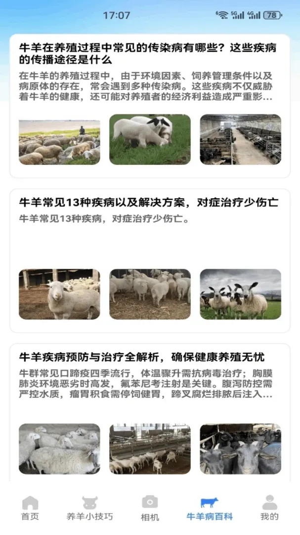 招财小羊2026最新版本v1.1 官方正版截图3