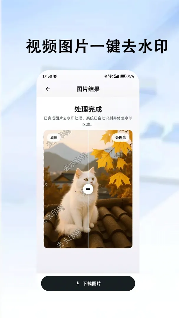 去水印鸭2026最新版本v1.0.4 官方正版截图0