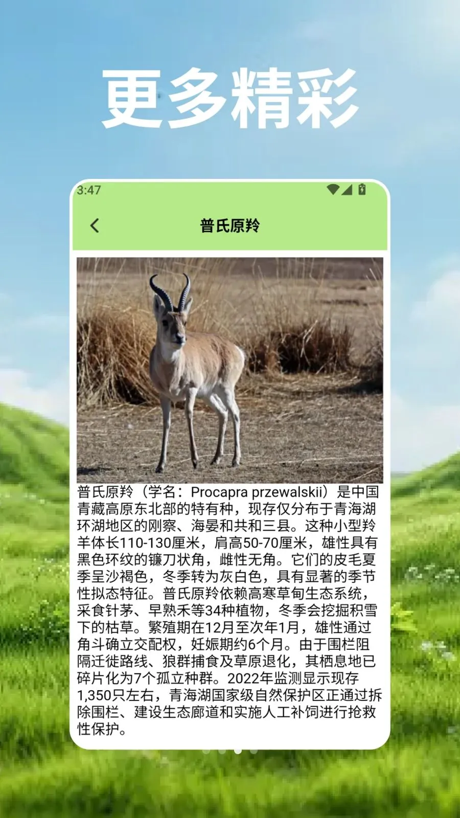 羊群的科学管最新手机版v2.3 官方正版截图1