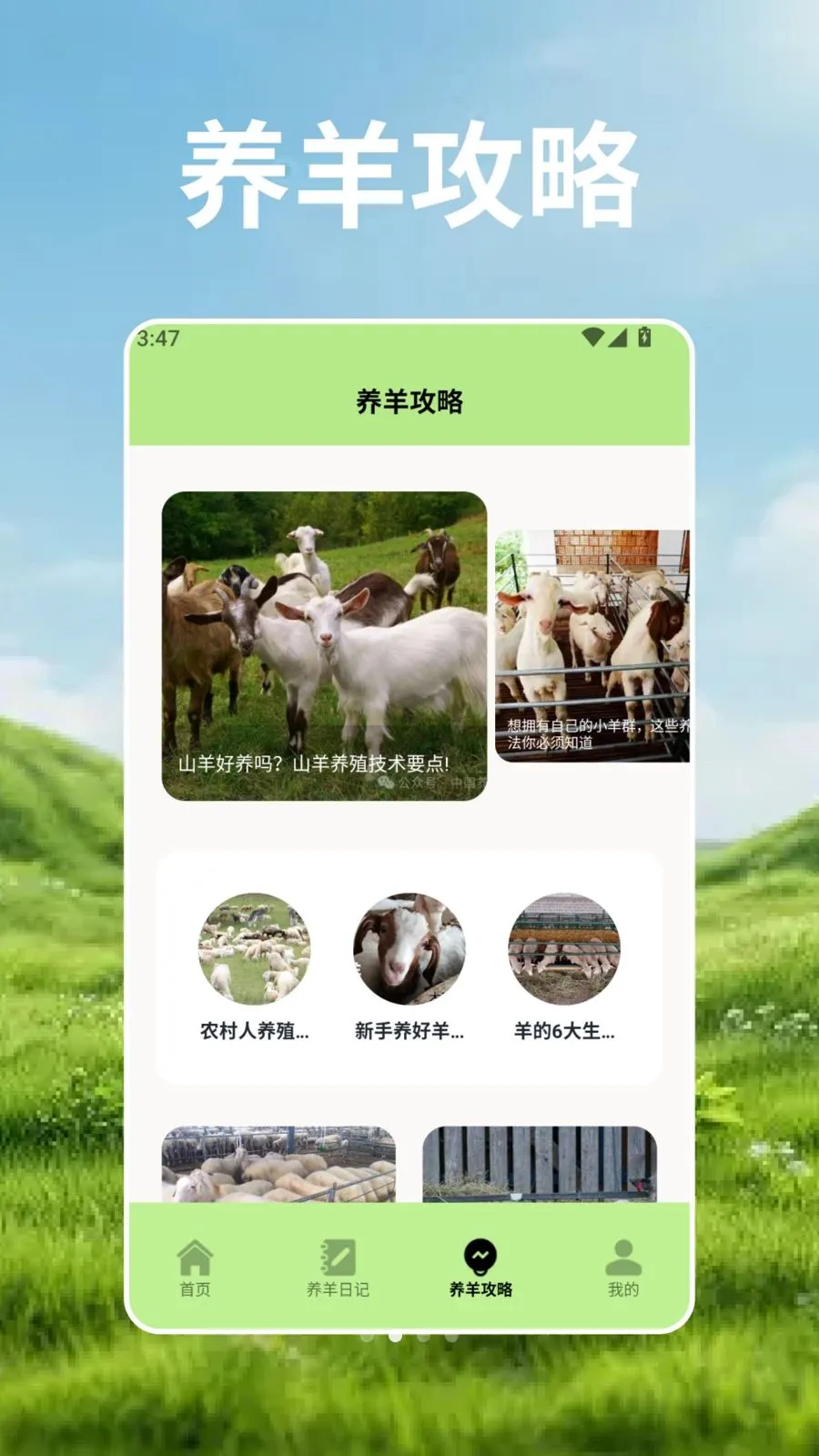 羊群的科学管最新手机版v2.3 官方正版截图2