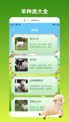 好运小羊2026最新版本v1.3 手机版截图0