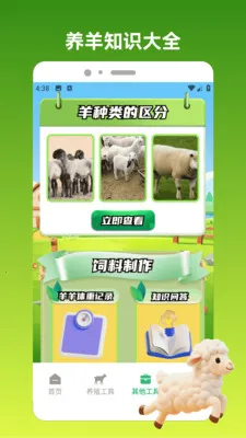 好运小羊2026最新版本v1.3 手机版截图1