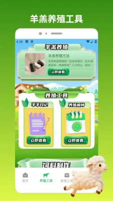 好运小羊2026最新版本v1.3 手机版截图4
