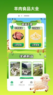 好运小羊2026最新版本v1.3 手机版截图2