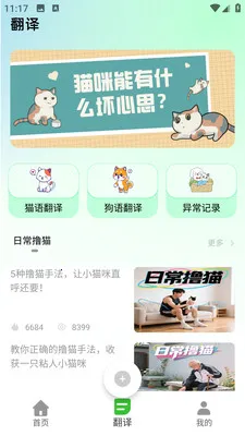 PEPPYCAT猫语空间(养猫体验平台)v3.0.0 免费版截图0