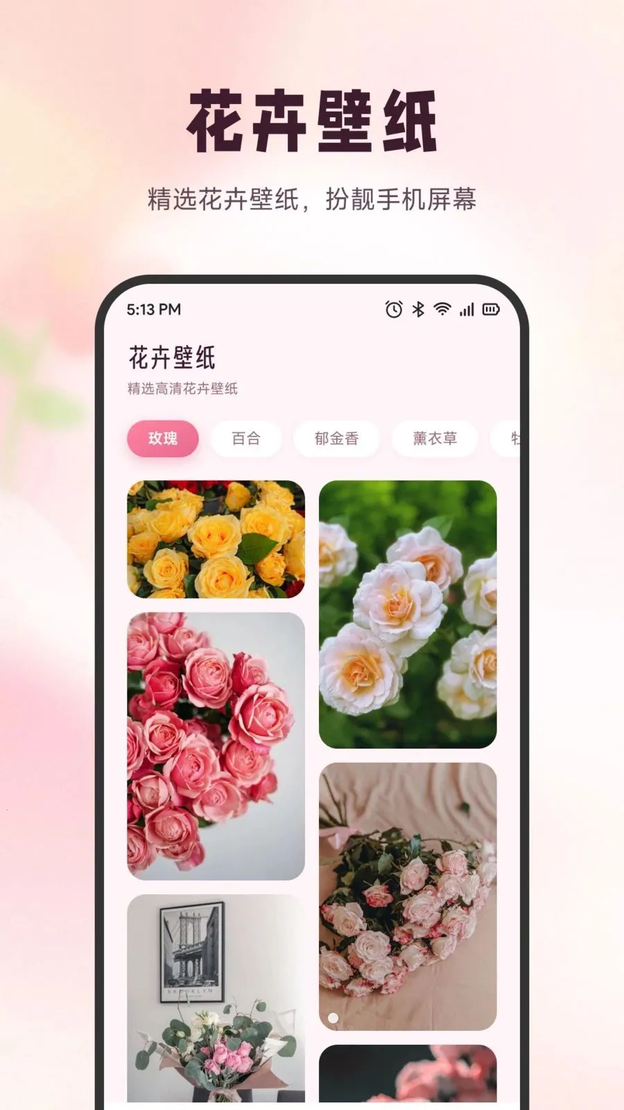 雪融花鉴(识花养花工具)v1.6 免费版截图0