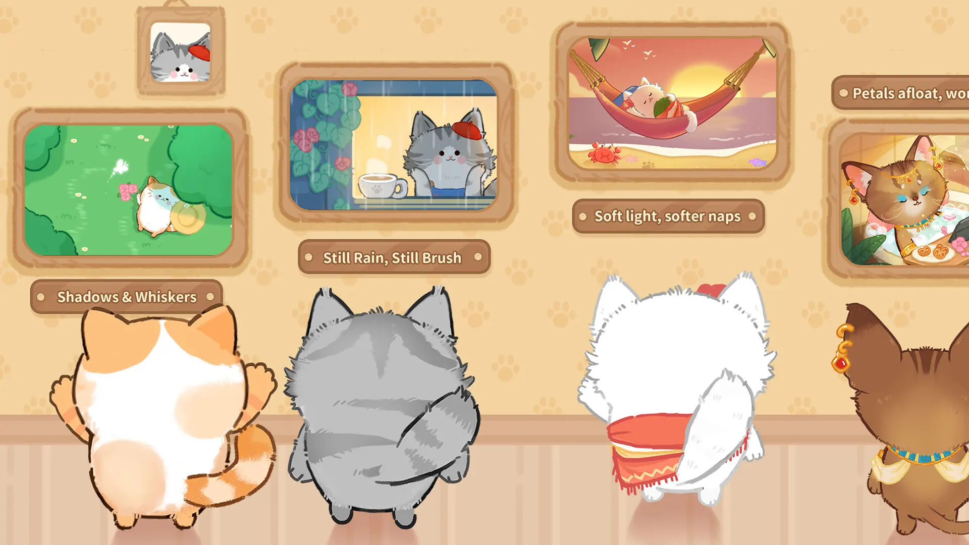 猫咪疗愈所最新手机版v1.0.5 安卓版截图0