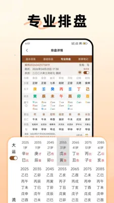 阿启八字排盘最新手机版v1.3.0 安卓版截图2