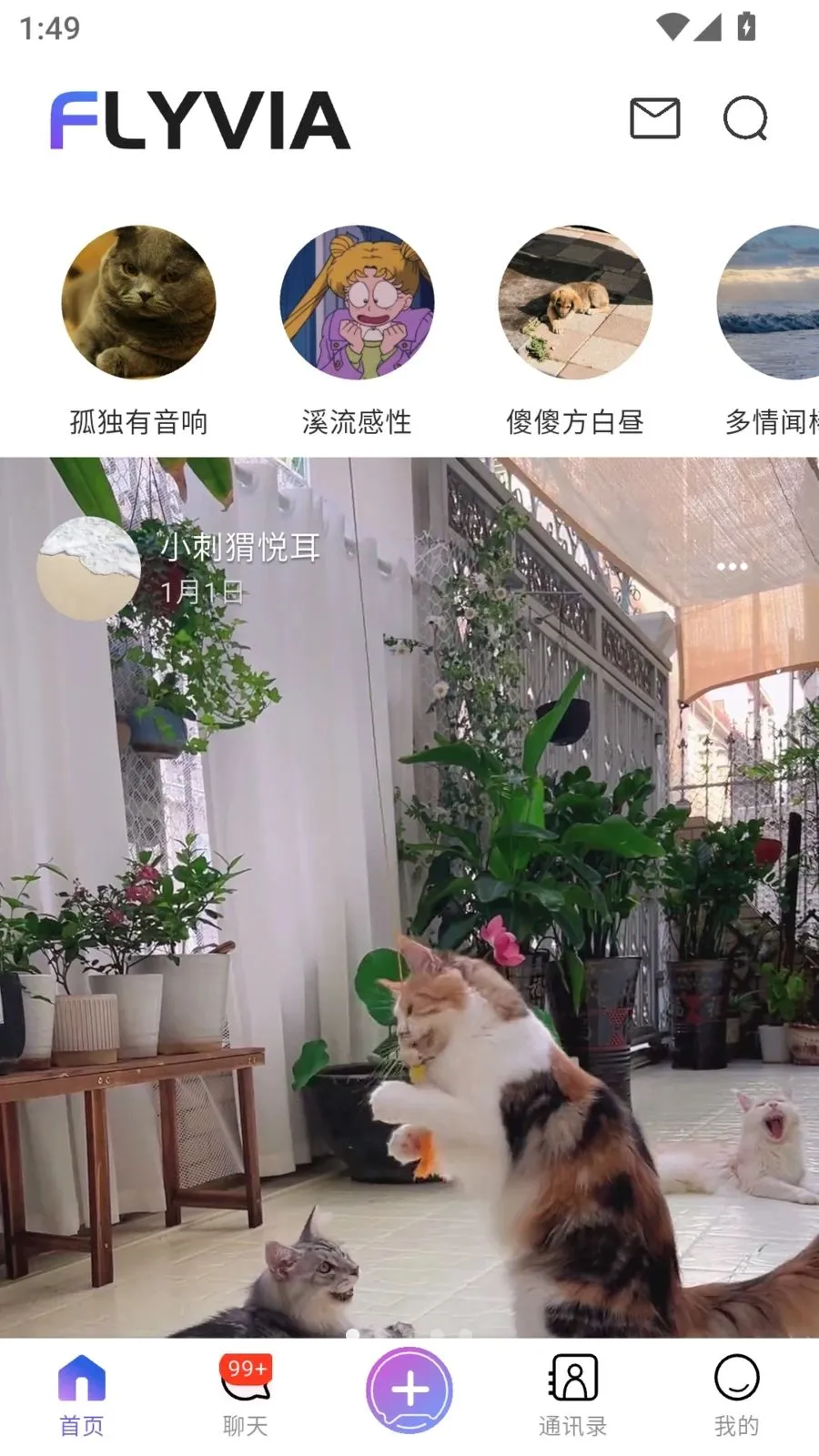 FLYVIA(ȫ�����罻APP)v2.1.2 �ֻ����ͼ2