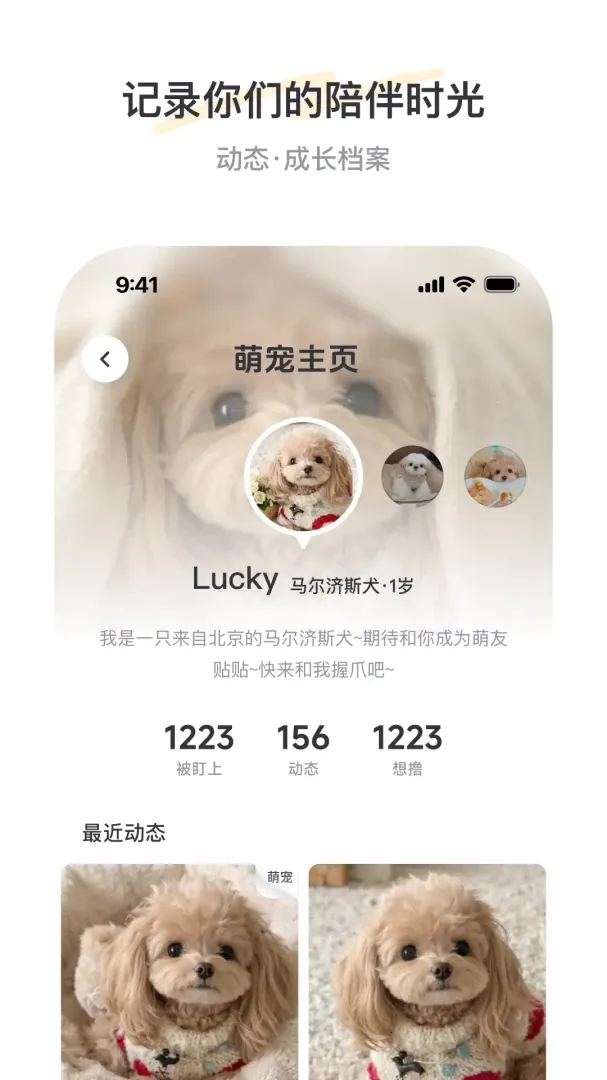 PetSpace(�ȳ��罻ƽ̨)v2.1.0 ��Ѱ��ͼ2