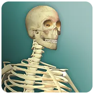 ��������2���������ֻ���v3.1 ��׿��