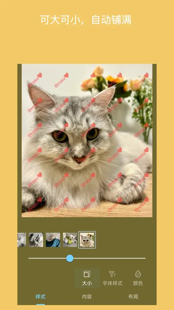 ��ˮӡ��Ƭ(��Ƭˮӡ���ӹ���)v6.0705.7 �ٷ������ͼ4