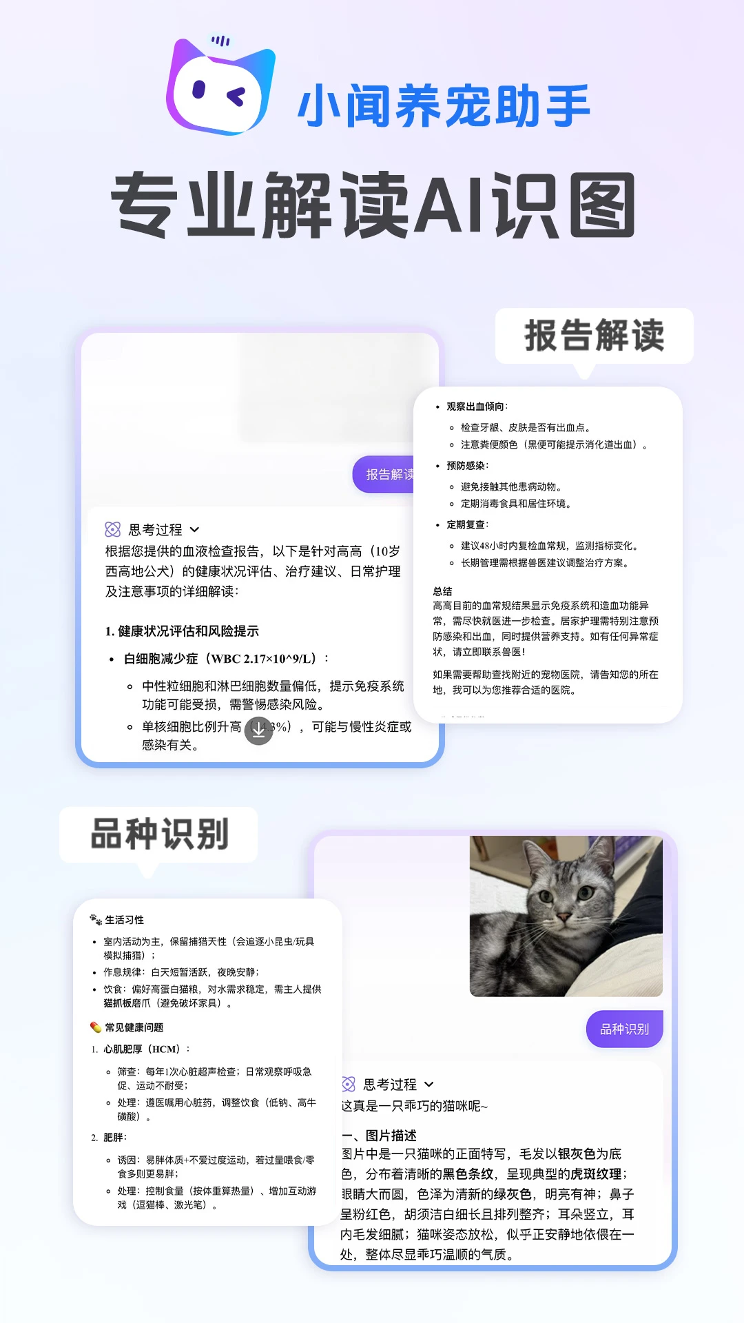С����������(AI�������)v1.0.19 ��Ѱ��ͼ2
