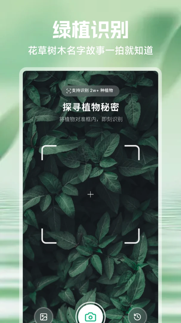 ���⻨(ֲ������APP)v1.1 �ֻ����ͼ0