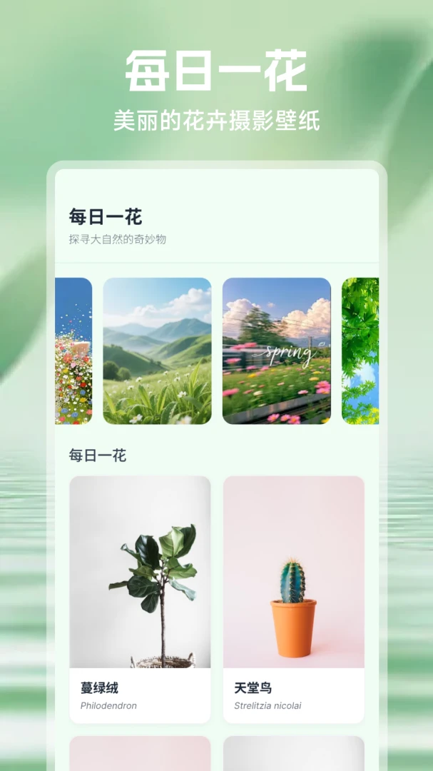 ���⻨(ֲ������APP)v1.1 �ֻ����ͼ2