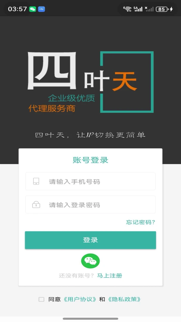 ��Ҷ�����IP2026���°汾v1.4.0 �ٷ����ͼ1
