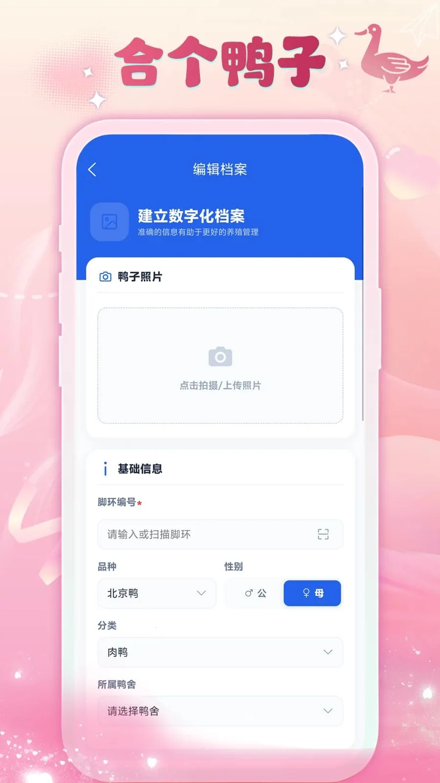 合个鸭子2026官方正版v1.2 官方版截图1