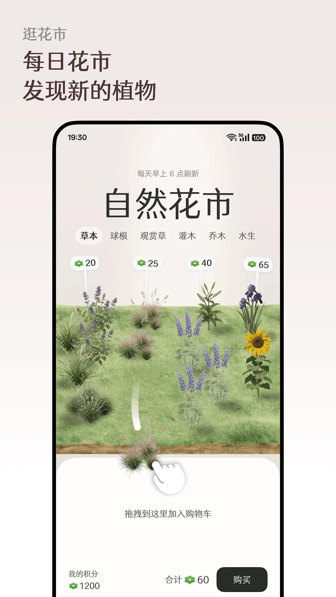 ����Floravale�����ֻ���v1.0.12 �ٷ����ͼ3