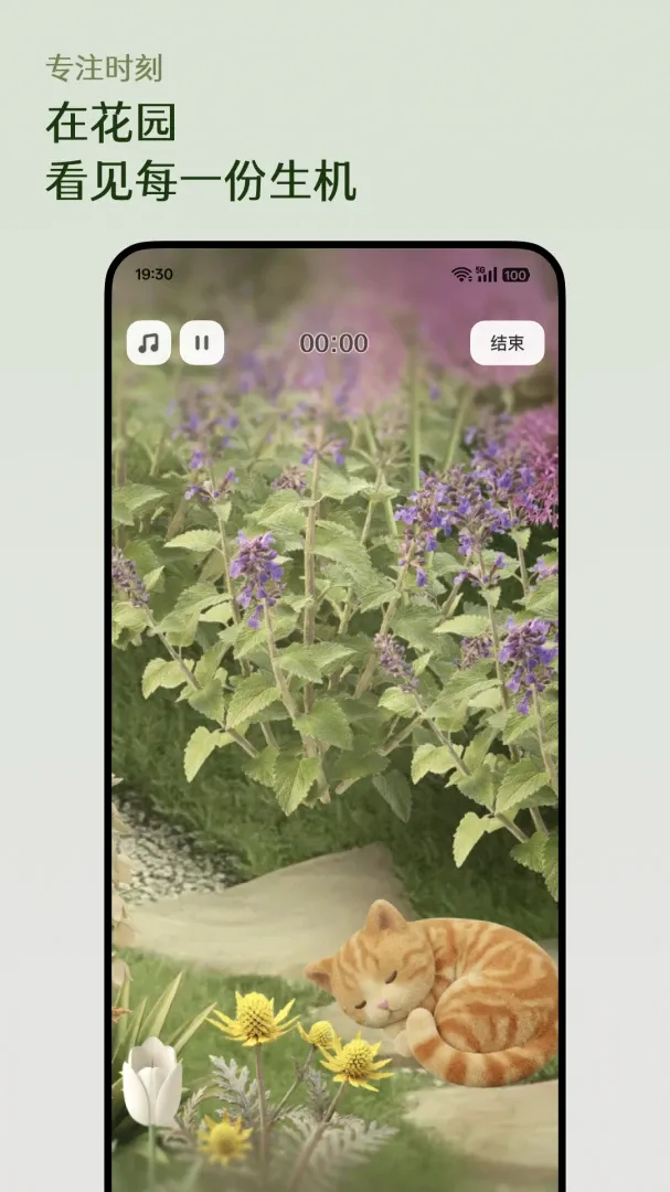 ����Floravale�����ֻ���