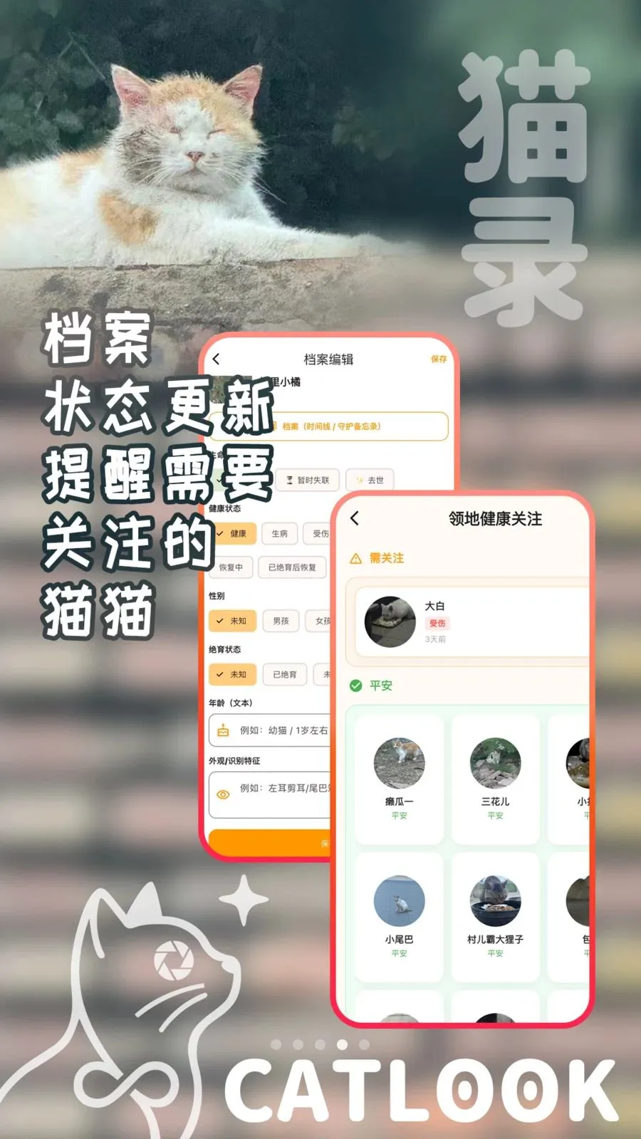 猫录(流浪猫守护平台)v1.1.7 手机版截图1